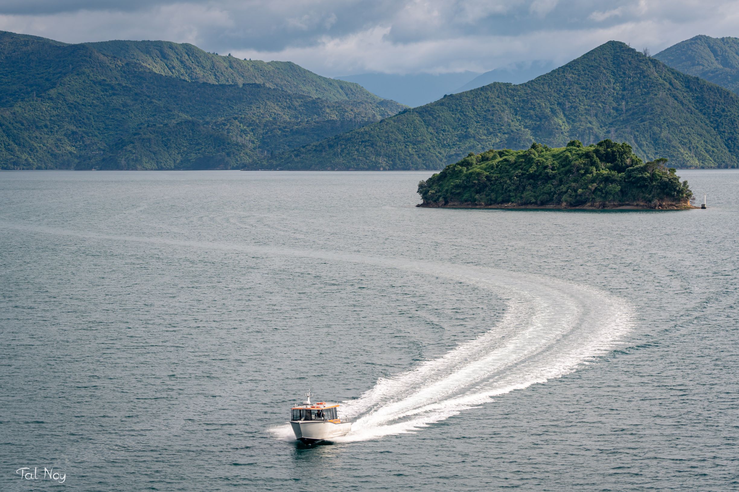A speedboat racing through the water between New Zealand's two islands, captured from a cruise ship deck