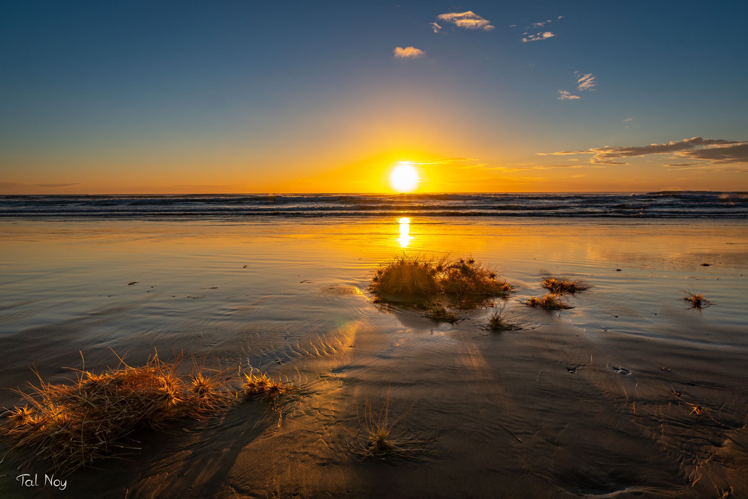 Vibrant sunset over Piha beach with black sand, crashing waves, and bushes in the foreground, New Zealand